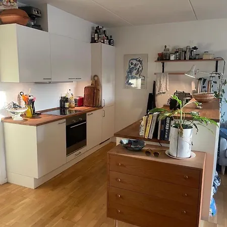 Bright, Spacious And Cosy Close To Town, Nature And Water * Copenhagen