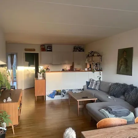 Bright, Spacious And Cosy Close To Town, Nature And Water Homestay Copenhagen