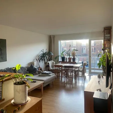 Bright, Spacious And Cosy Close To Town, Nature And Water Homestay *